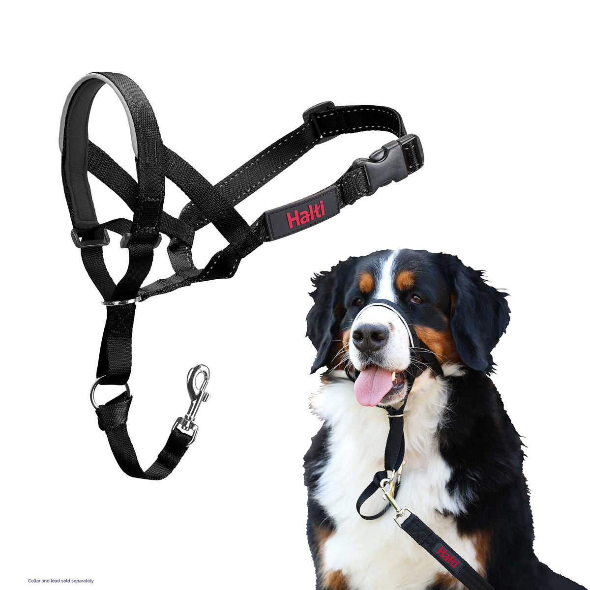 Halti Headcollar for Dogs | Size 3, Black