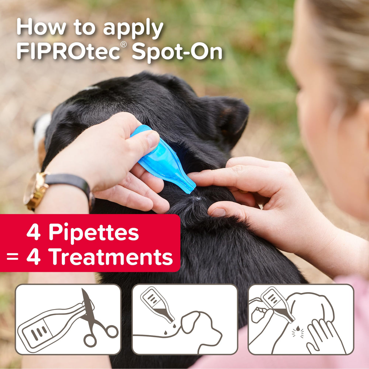 Beaphar - FIPROtec Spot-On Flea & Tick Treatment for Medium Dogs 10-20kg - 6 Pipettes - Kills Fleas & Ticks – Veterinary Medicine - Easy to Apply Monthly - Suitable for Dogs & Puppies from 8 Weeks