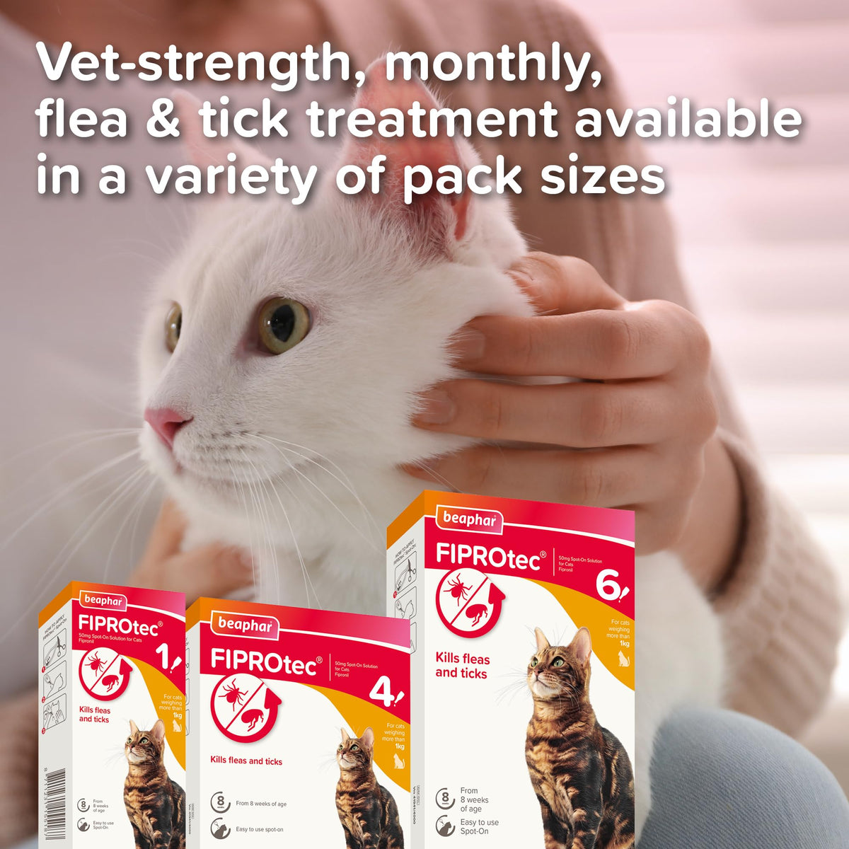 Beaphar - FIPROtec Spot-On Flea & Tick Treatment for Cats - 6 Pipettes - Kills Fleas & Ticks - Veterinary Medicine – Easy to Apply Monthly - For Cats & Kittens from 8 Weeks Old, Weighing Over 1kg