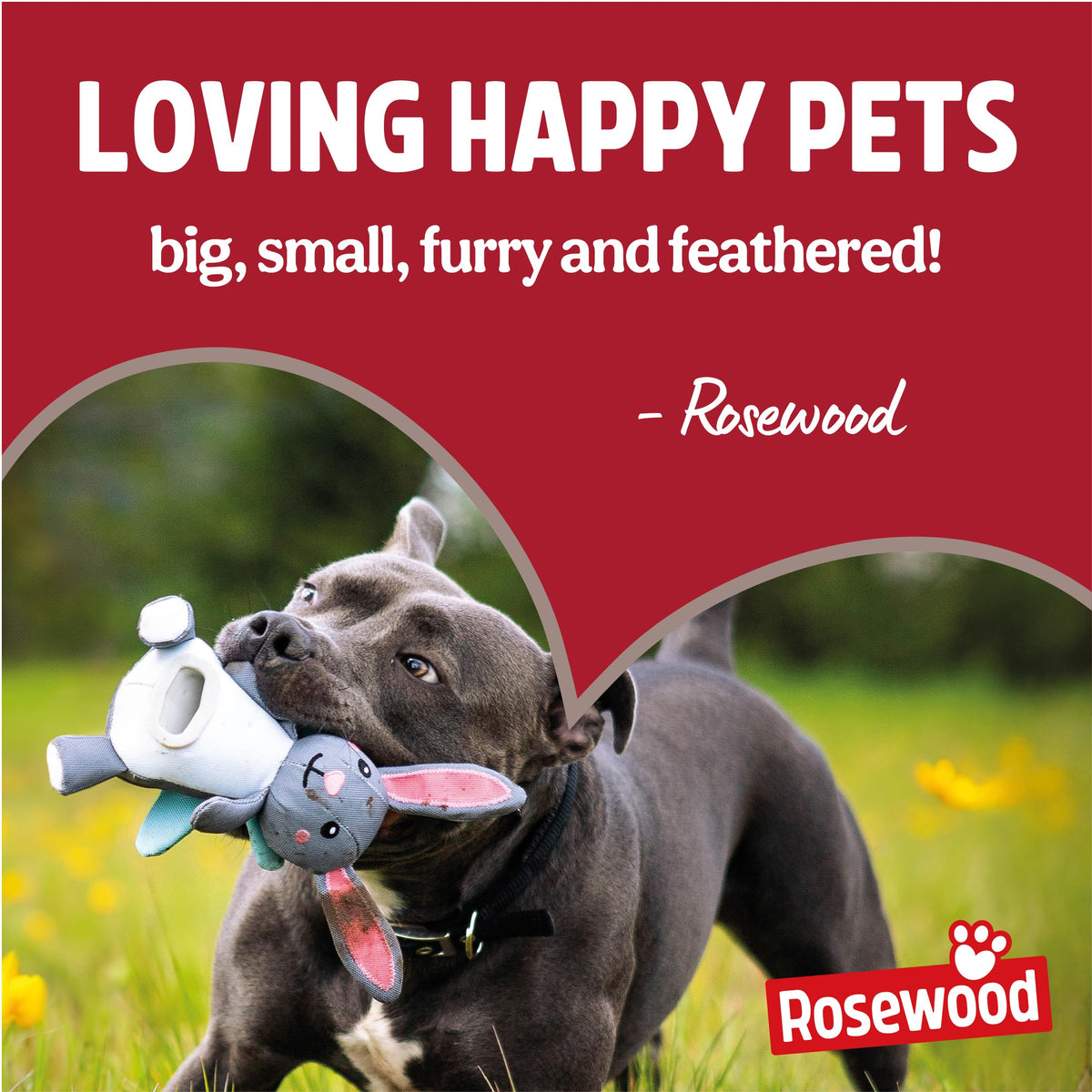 Rosewood Dog Poo Bags with Handles - 100 Easy Clean-Up Poop Bags, Loose Packed Dog Waste Bags with Tie Handles, Lightly Scented, Black