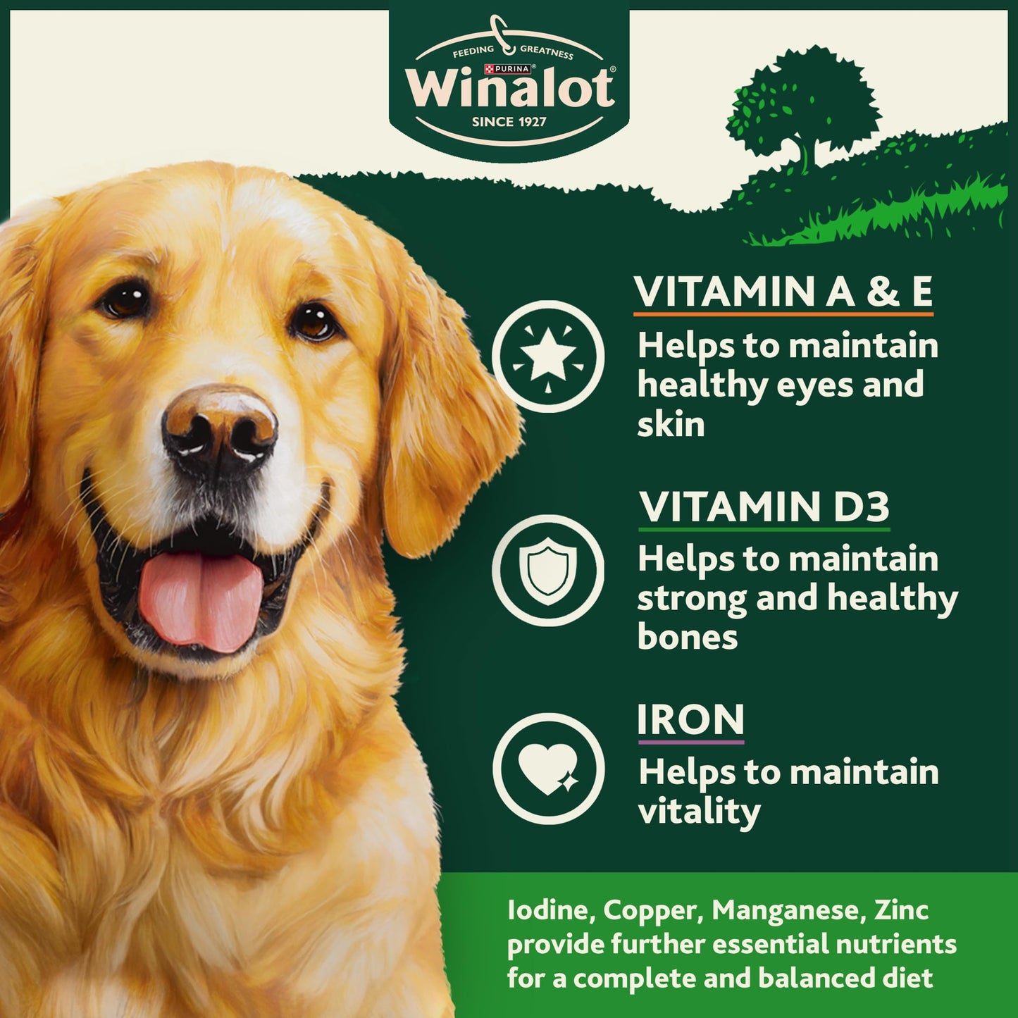 WINALOT Sunday Dinner Mixed in Gravy Wet Dog Food Pouches 40x100g