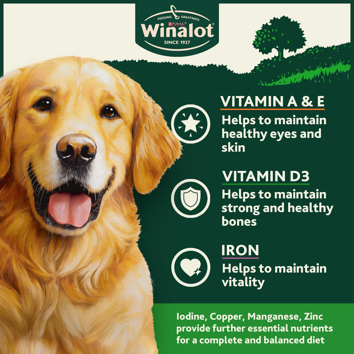 WINALOT Sunday Dinner Mixed in Gravy Wet Dog Food Pouches 40x100g