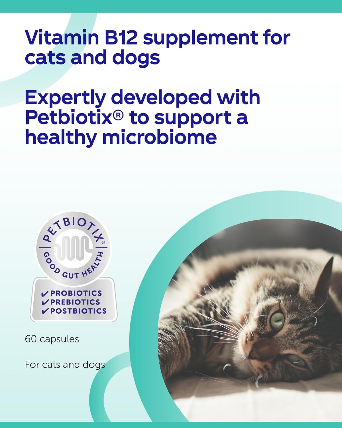 Protexin Veterinary Cobalaplex Capsules for Cats and Dogs, Vitamin B12 and Vitamin B9 Supplement for Gut Health, Chicken Flavour, 60 Capsules