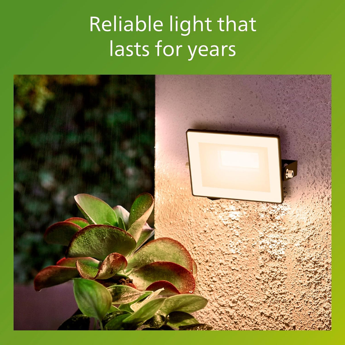 Philips Lois Outdoor Floodlight, White, 10 W