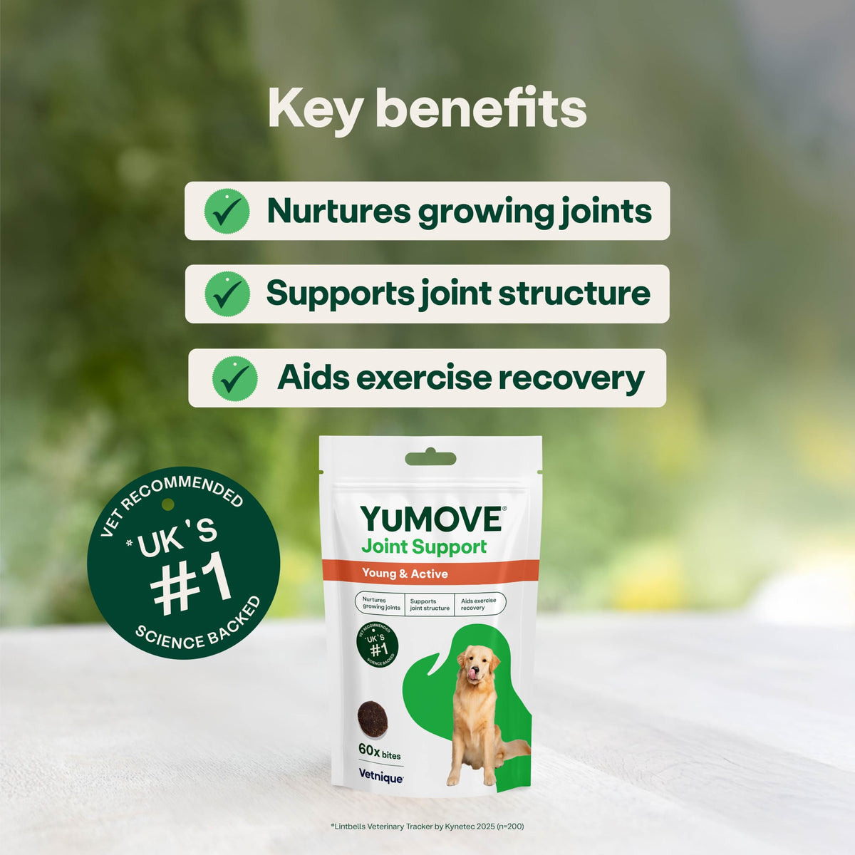 YuMOVE Young and Active Dog | Joint Supplement for Dogs to Support Active and Growing Joints Aged Under 6 | 60 Tablets Clear
