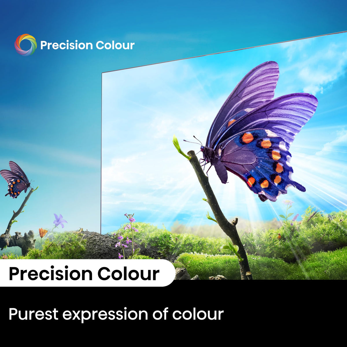 Hisense 50 Inch 50E6QTUK 4K Ultra HD Smart AI TV