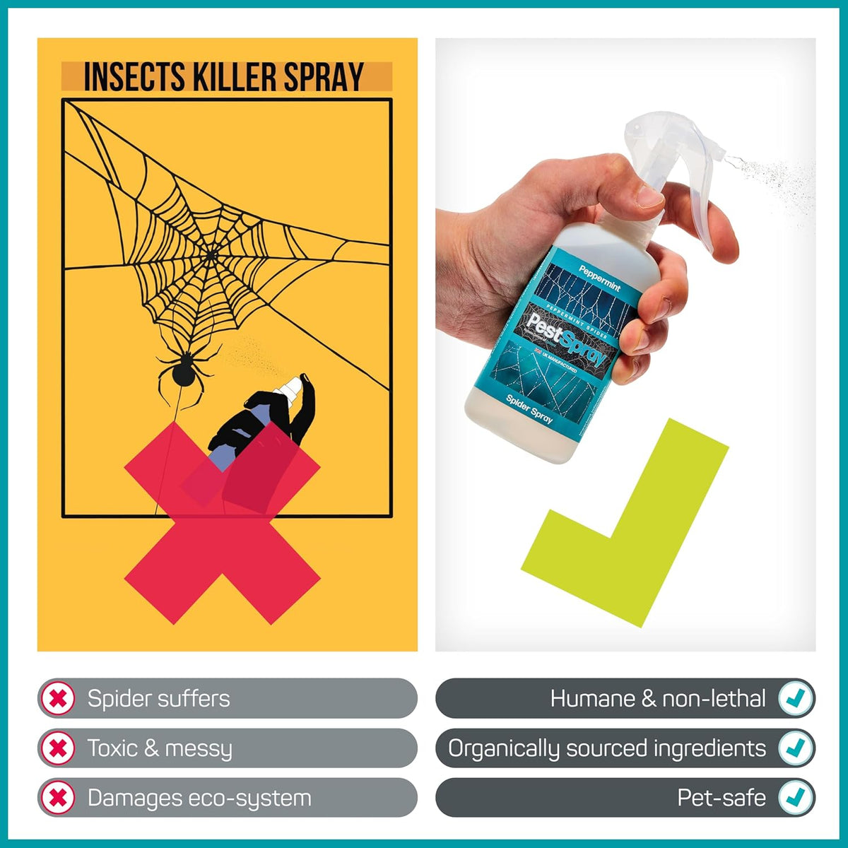 Peppermint Spider PestSpray, Peppermint Oil Spray, Spider Repellent, 250ml Bottle, Suitable Indoor & Outdoor Use