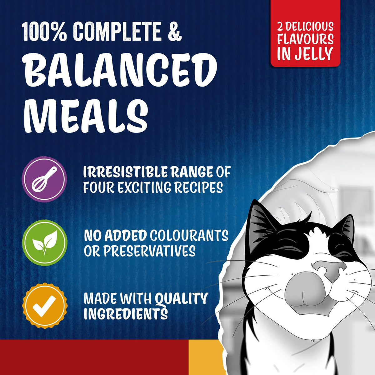 FELIX Doubly Delicious Countryside Selection in Jelly Wet Cat Food 40x85g