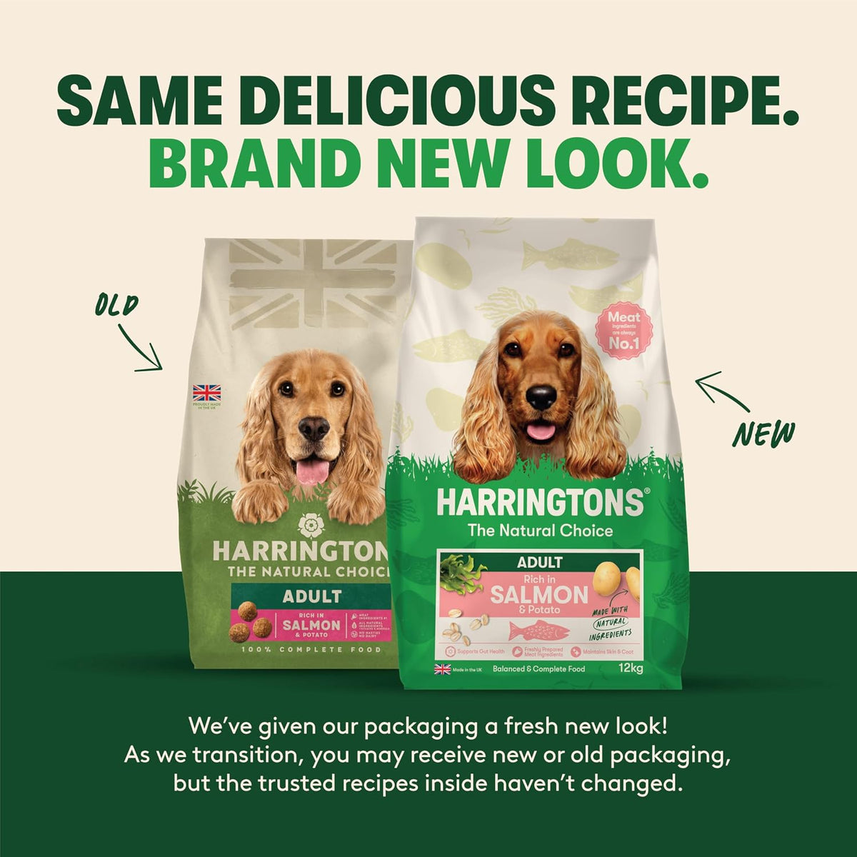 Harringtons Complete Dry Adult Dog Food Salmon & Potato 12kg