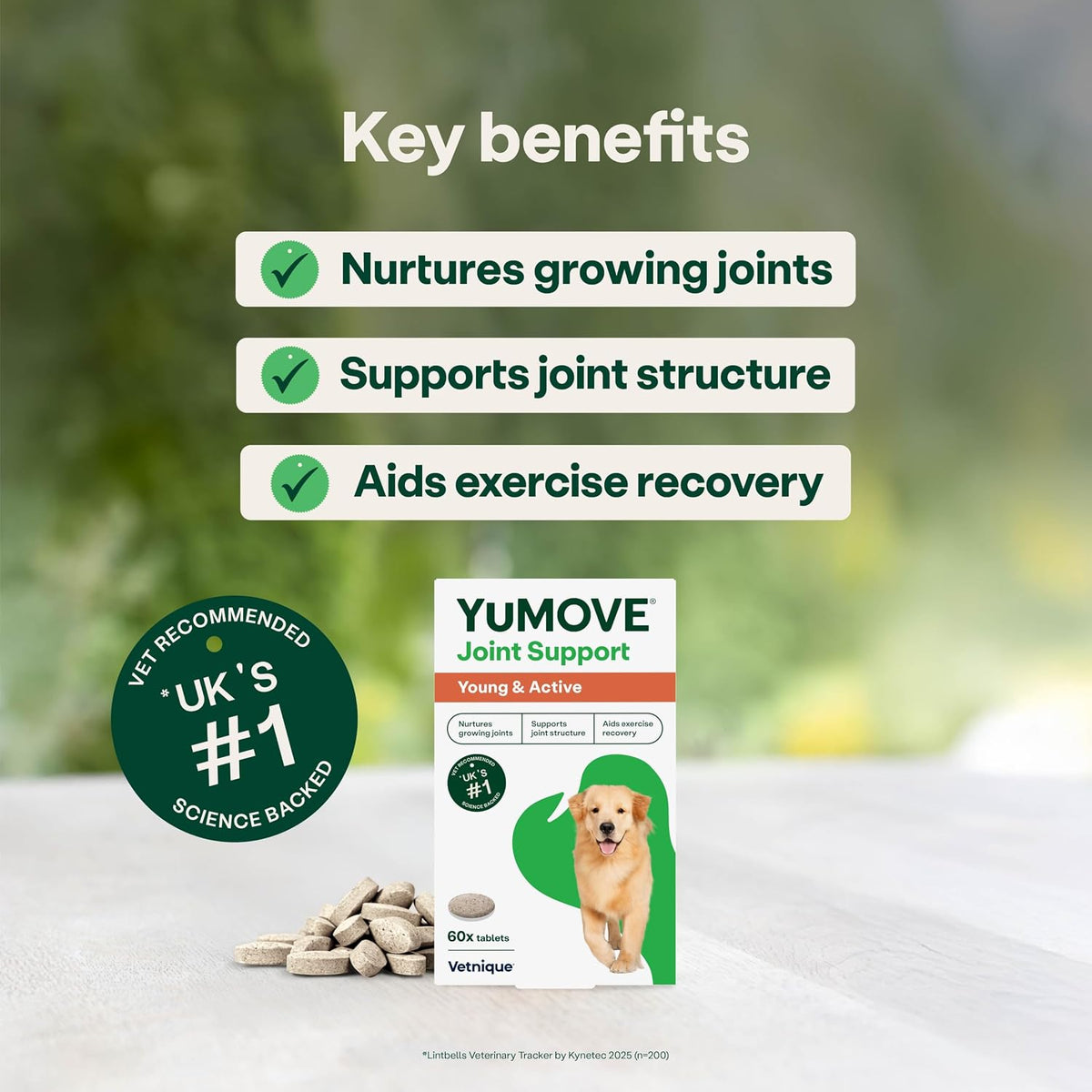 YuMOVE Young and Active Dog | Joint Supplement for Dogs to Support Active and Growing Joints Aged Under 6 | 60 Tablets Clear
