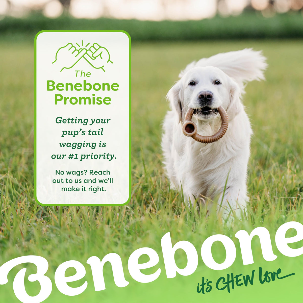Benebone Wishbone Dog Chew Toy for Aggressive Chewers, Real Bacon, Medium