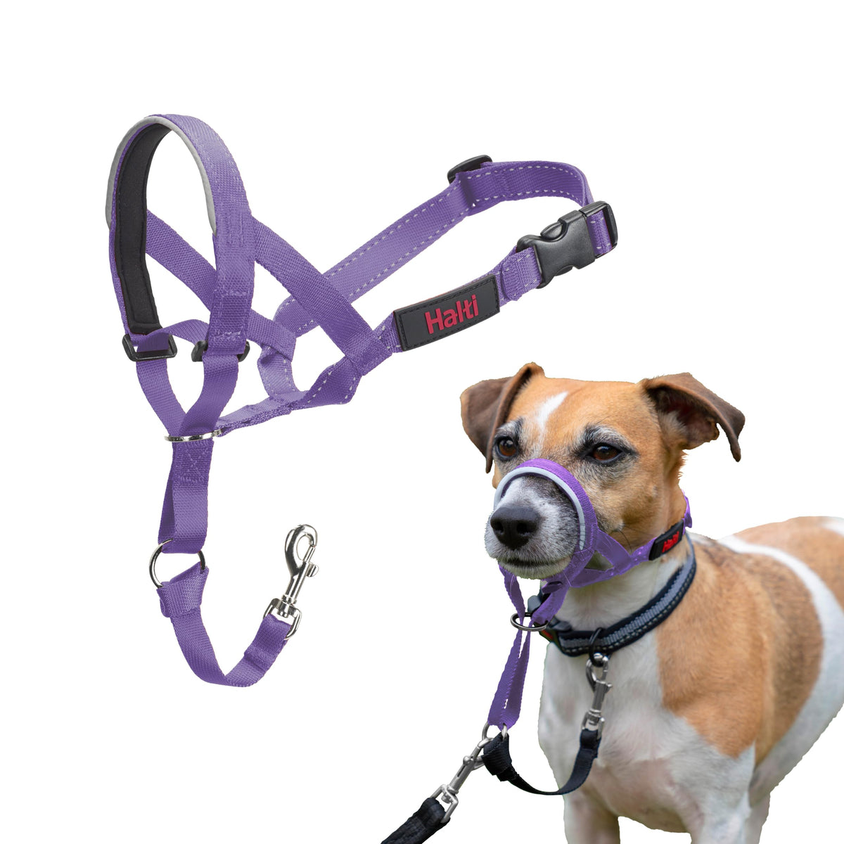 Halti Headcollar for Dogs | Size 3, Black