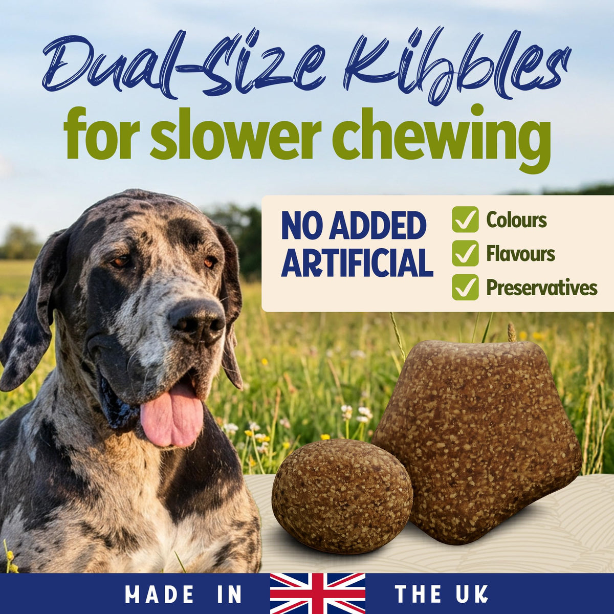 BETA Adult Sensitive Salmon Dry Dog Food 14kg