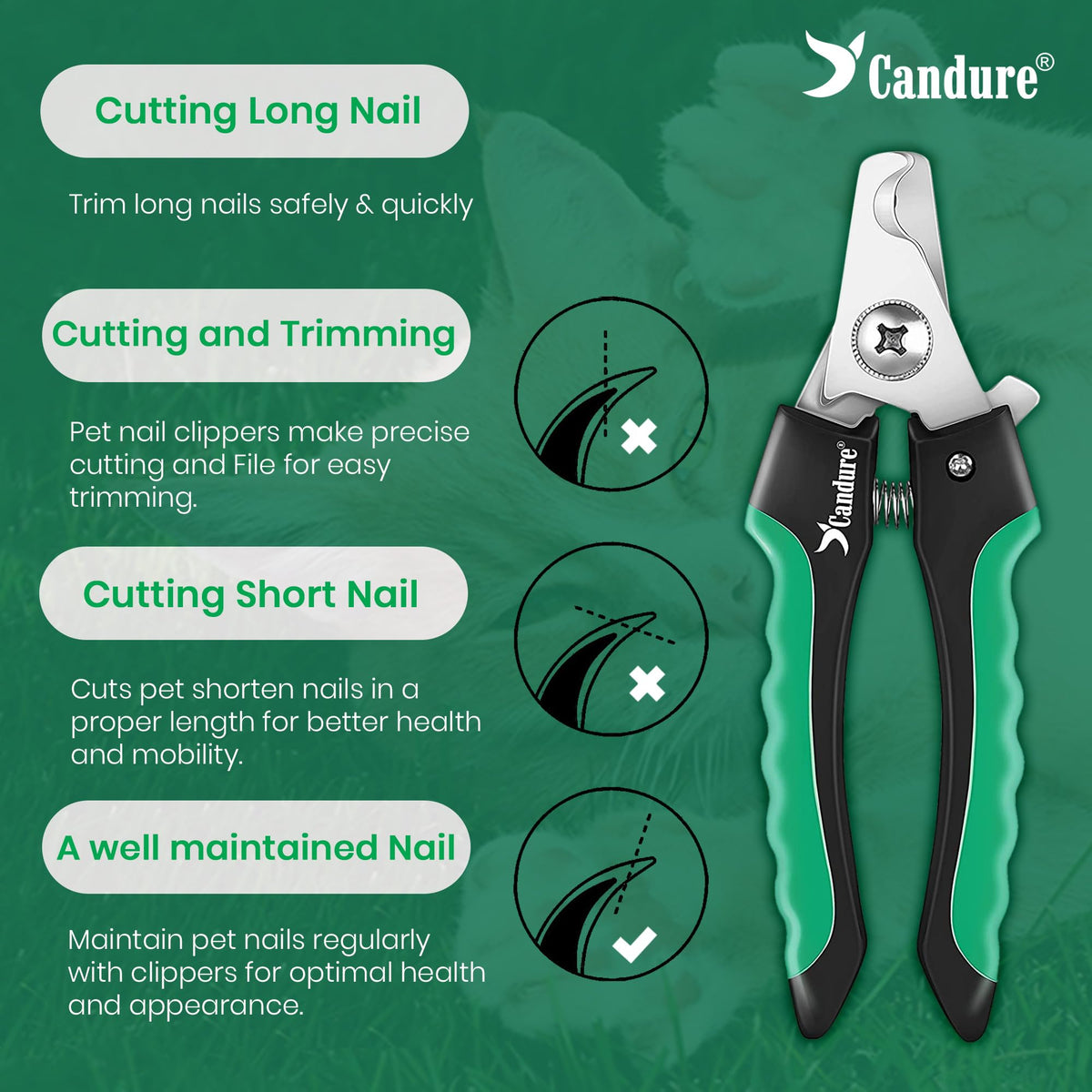 Candure Dog Nail Clippers for Large, Medium and Small Breed Professional Pet Nail Clipper Suitable for Cats, Rabbits and Guinea Pigs with Safety Lock (All Size Pets, Dark Blue)