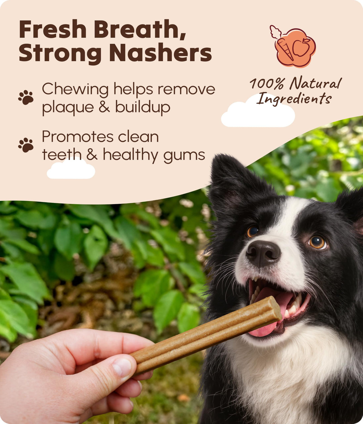 Soopa Carrot & Pumpkin Dog Dental Sticks, Chews to Clean Teeth, 100 g, 1-Pk
