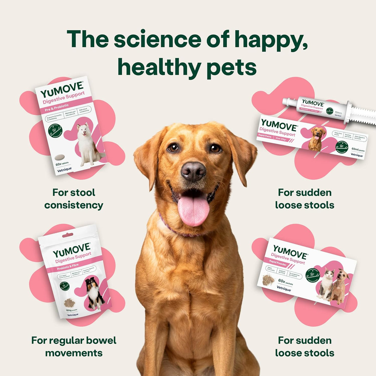 YuMOVE Digestive Care, Dog Pre and Probiotics Supplement for Gut Health, Digestive Support for All Ages and Breeds, 120 Tablets - Eco Friendly and Letter Box Ready Packaging