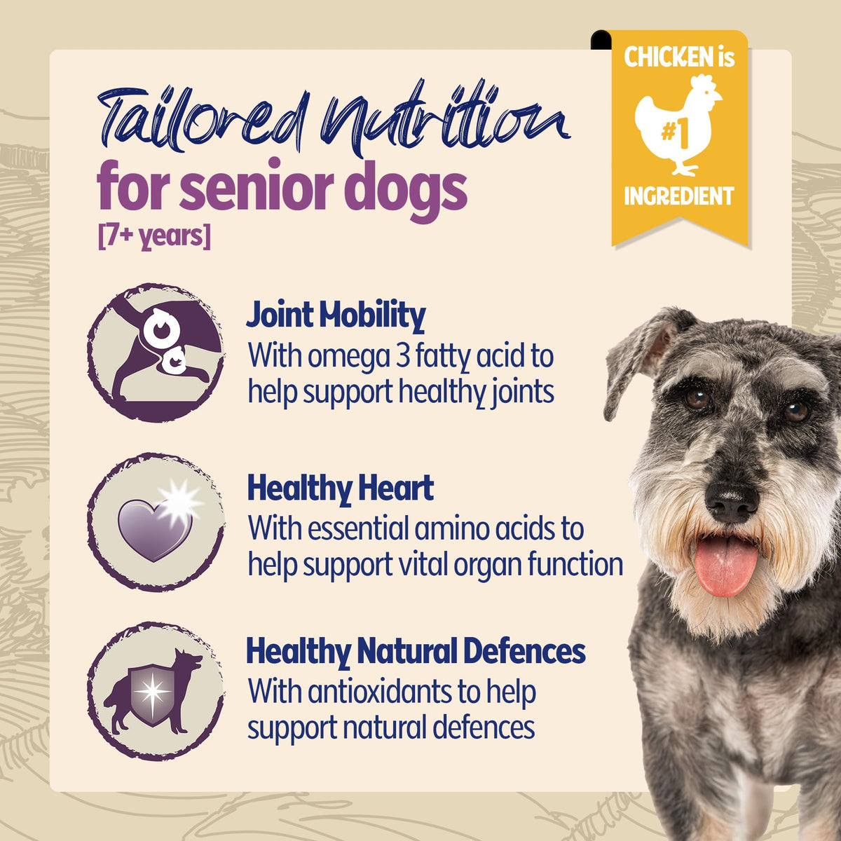 BETA Adult Sensitive Salmon Dry Dog Food 14kg