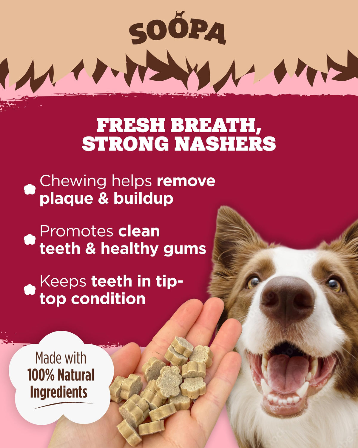 Soopa Strawberry Dog-Quiri Healthy Bites, Dog Training Treats, 50 g, 1-Pack