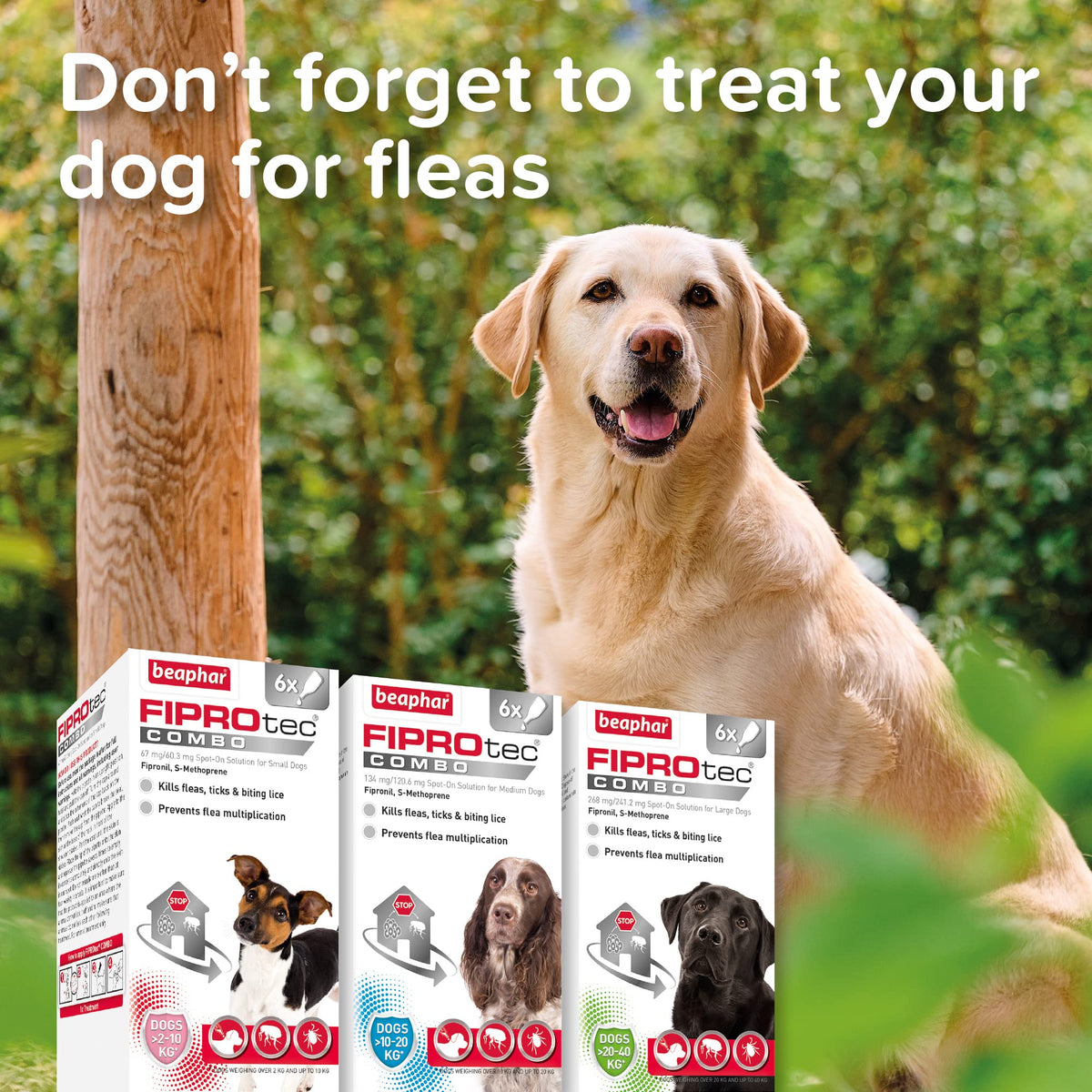 Beaphar - WORMclear® Tablets for Dogs up to 40kg - 4 Tablets - Kills All Common UK Intestinal Worms (Roundworms & Tapeworms) - Vet Strength Wormer - Pork-Flavoured - For dogs over 2 weeks old & 3kg