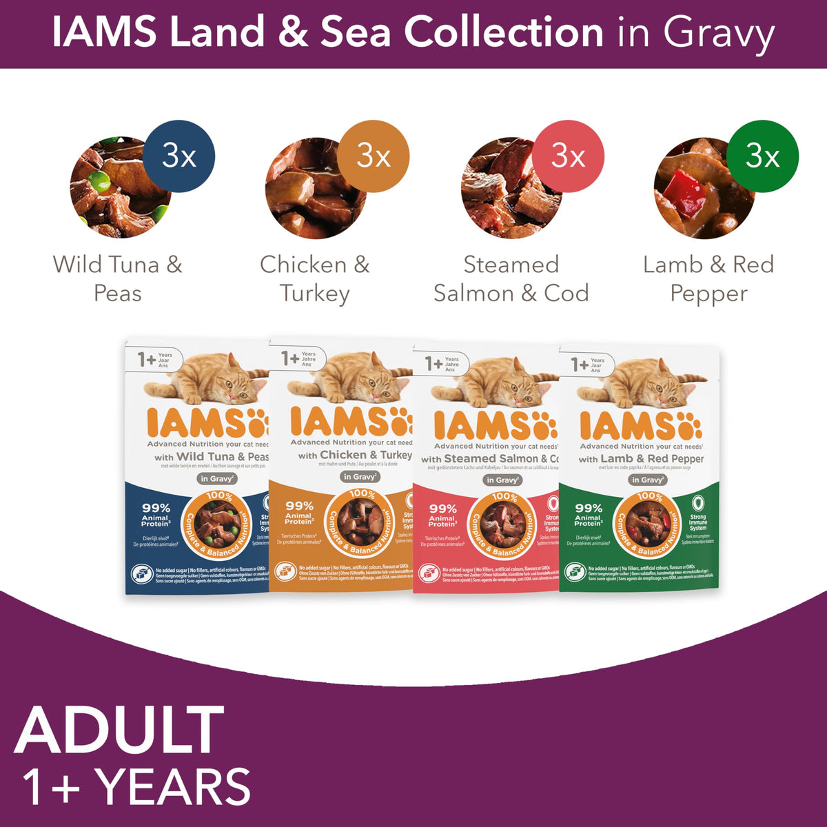 IAMS Adult Wet Cat Food Land & Sea in Jelly 72 x 85g