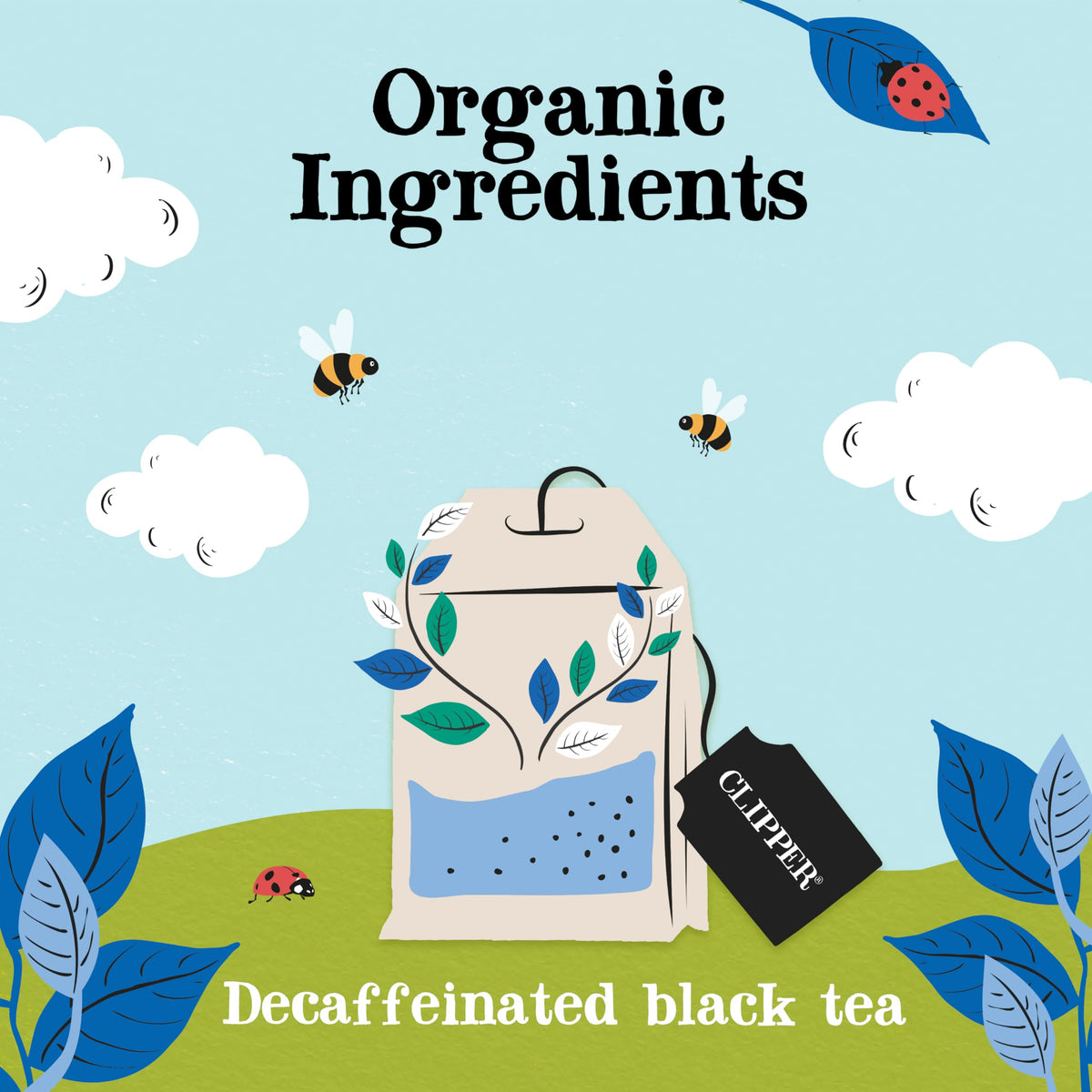 Clipper Organic Fairtrade Everyday Black Tea 1 x 80 Teabags