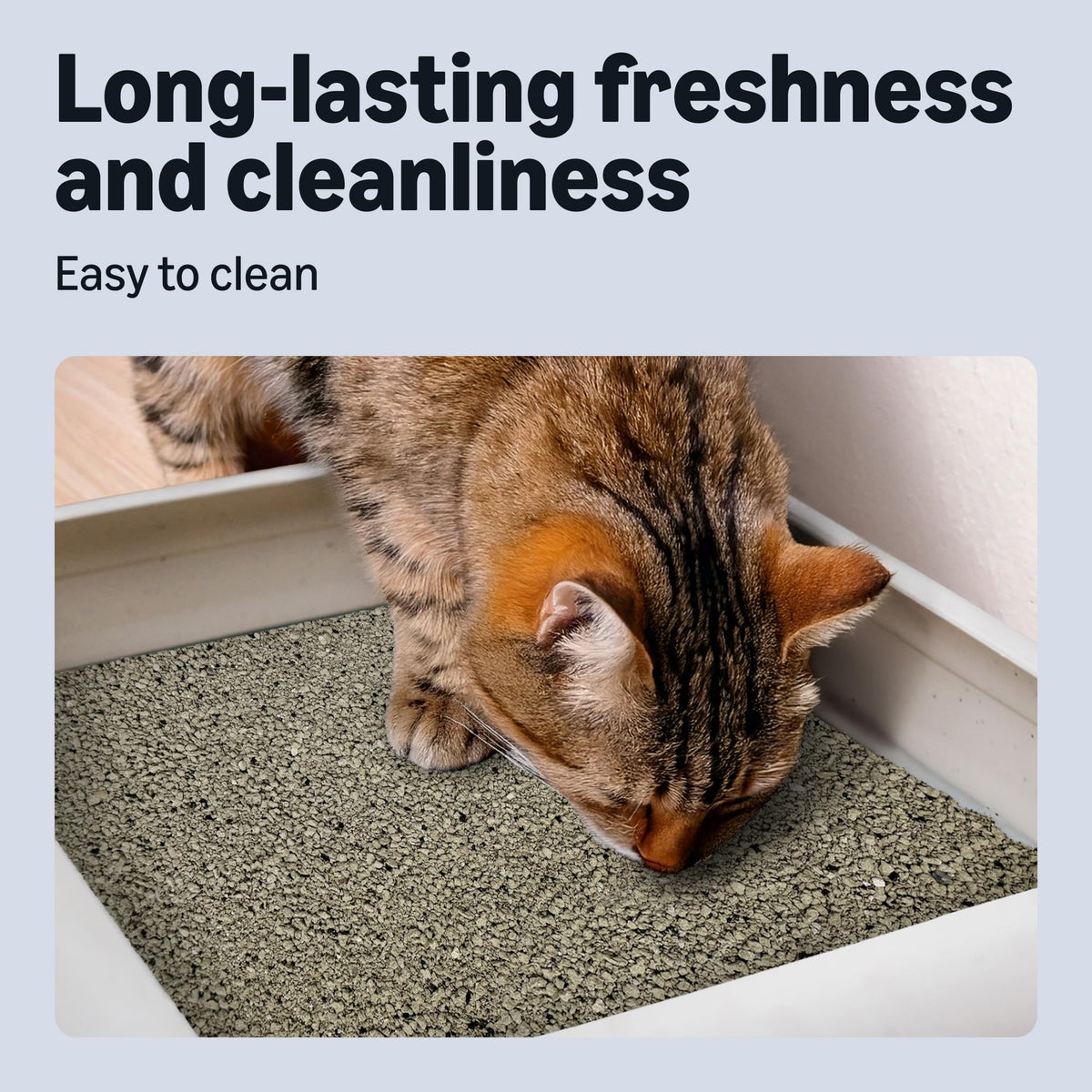 by Amazon Clumping Fine Unscented Cat Litter 10L (Pack of 1)