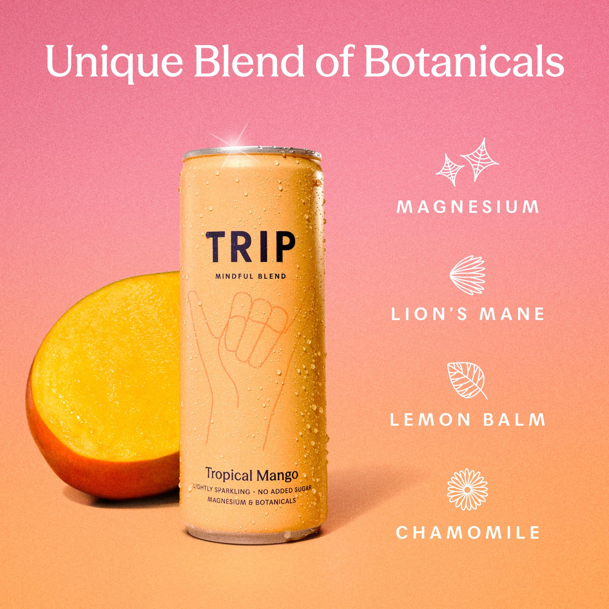 TRIP Cucumber Mint Sparkling drink with 120MG calming Magnesium + Lion’s Mane + Chamomile + Lemon Balm. Low Calorie and Vegan (Pack of 12 x 250ml) - Packaging Might Vary