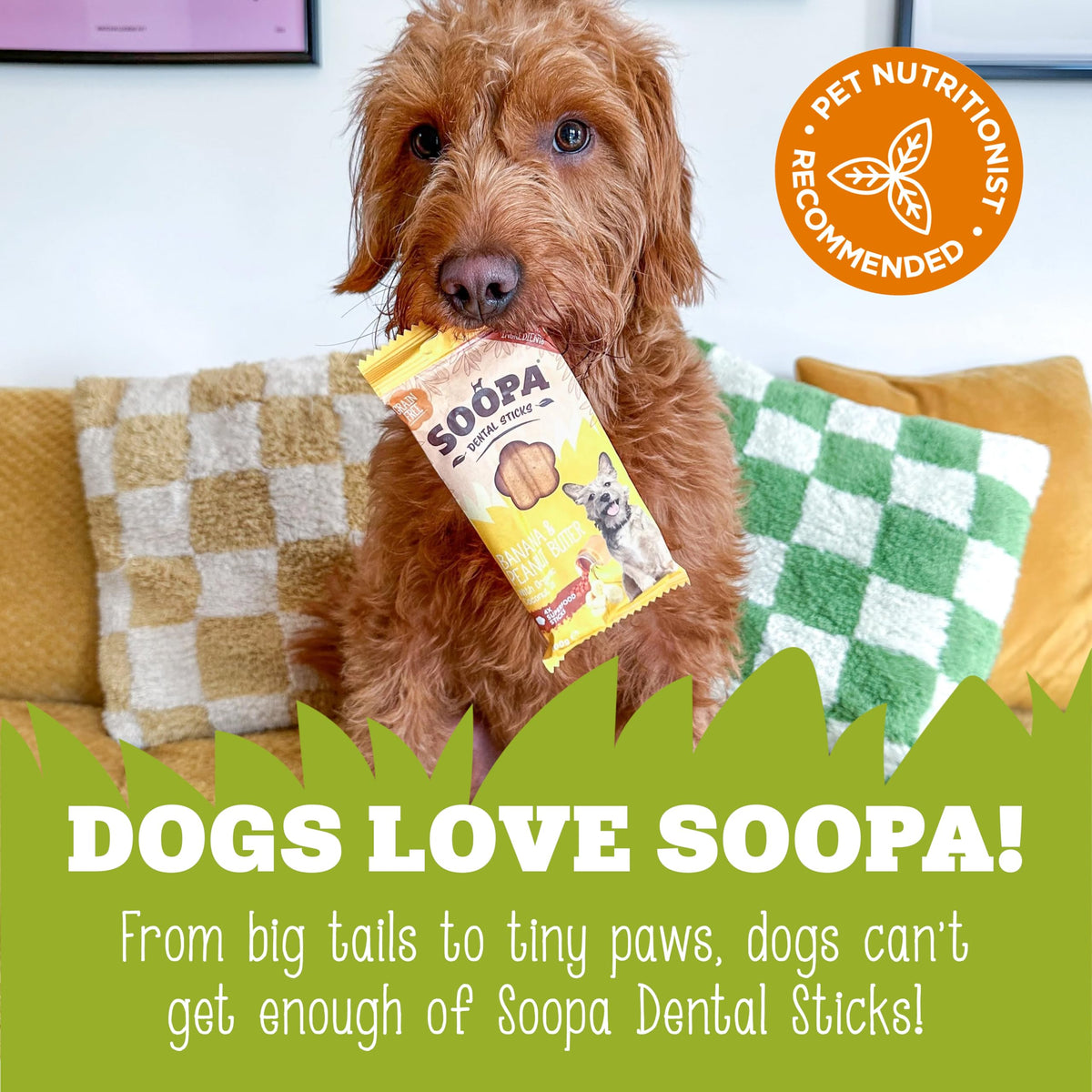 Soopa Carrot & Pumpkin Dog Dental Sticks, Chews to Clean Teeth, 100 g, 1-Pk