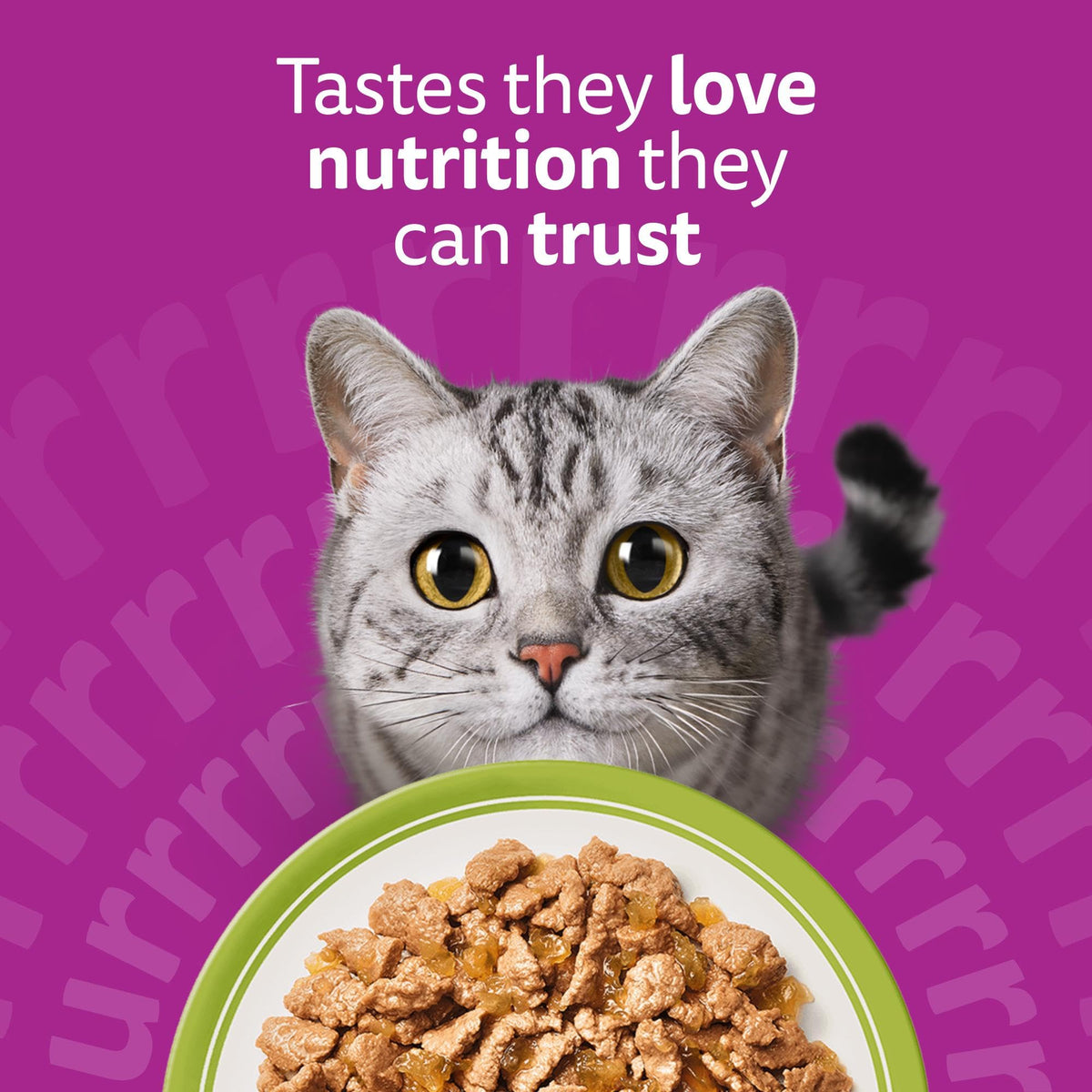 WHISKAS Adult Wet Cat Food in Jelly 40x85g Fish Favourites