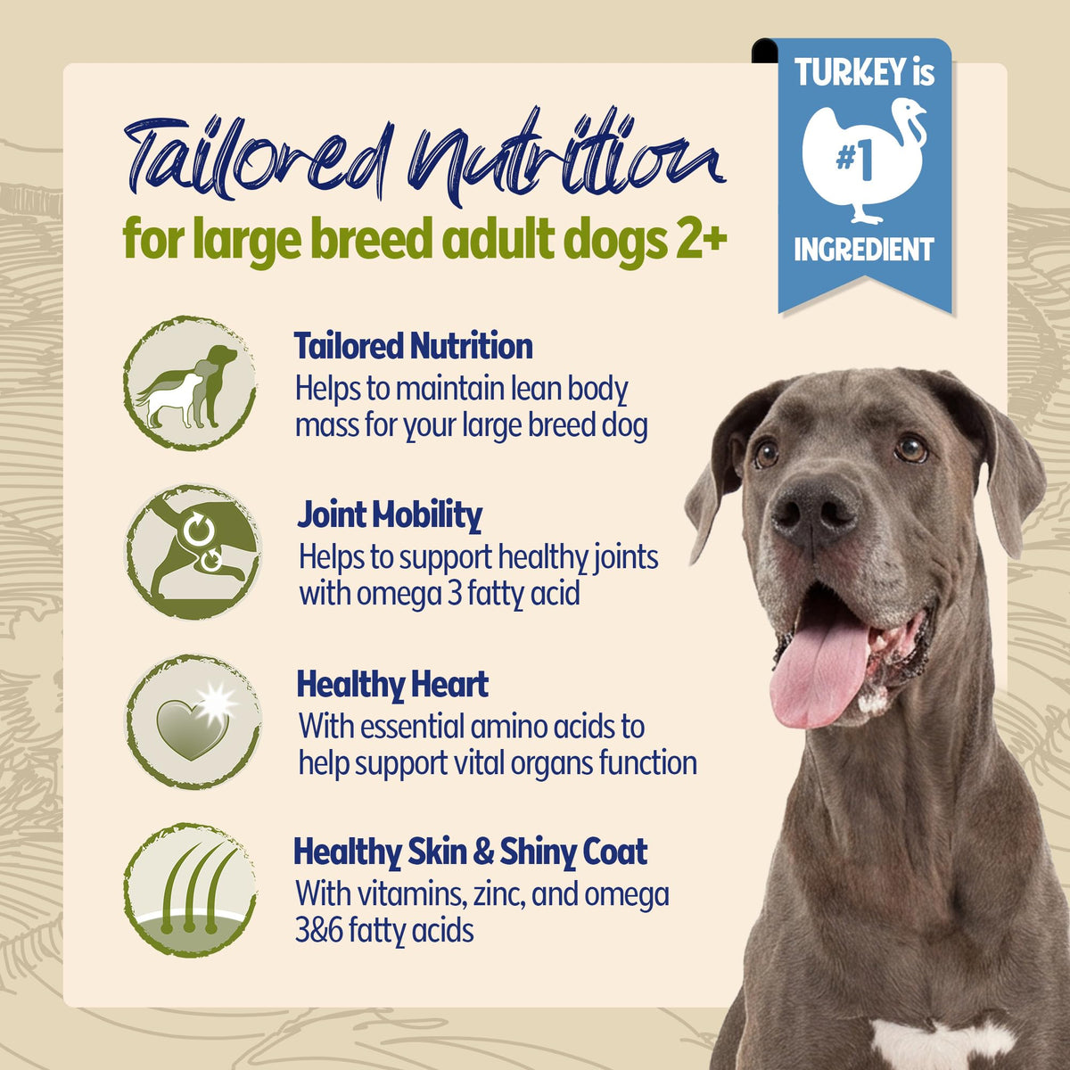 BETA Adult Sensitive Salmon Dry Dog Food 14kg