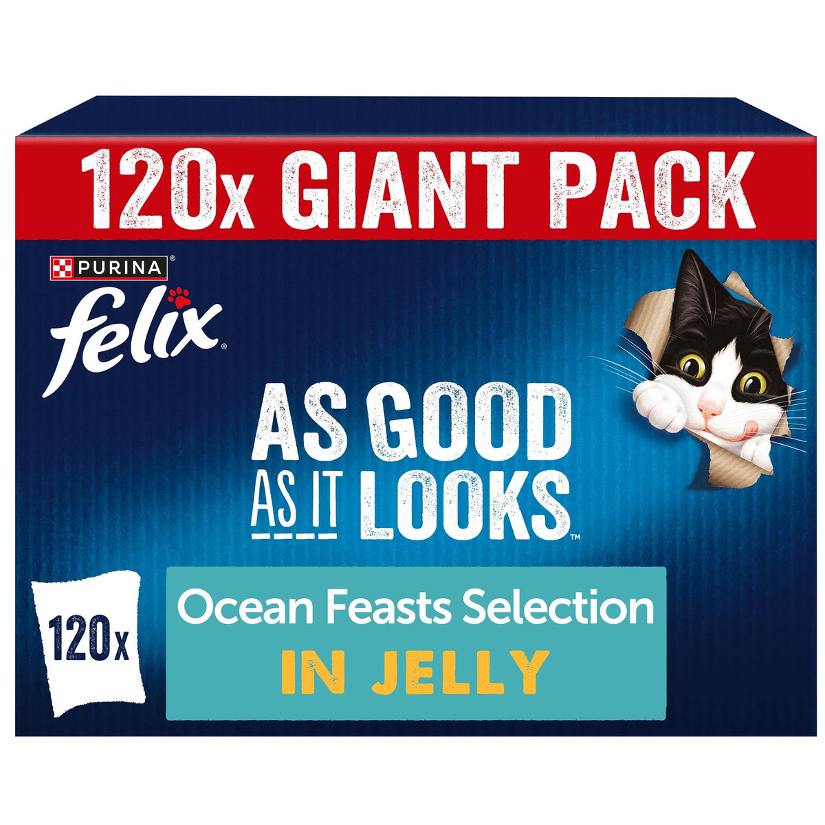 FELIX Doubly Delicious Countryside Selection in Jelly Wet Cat Food 40x85g