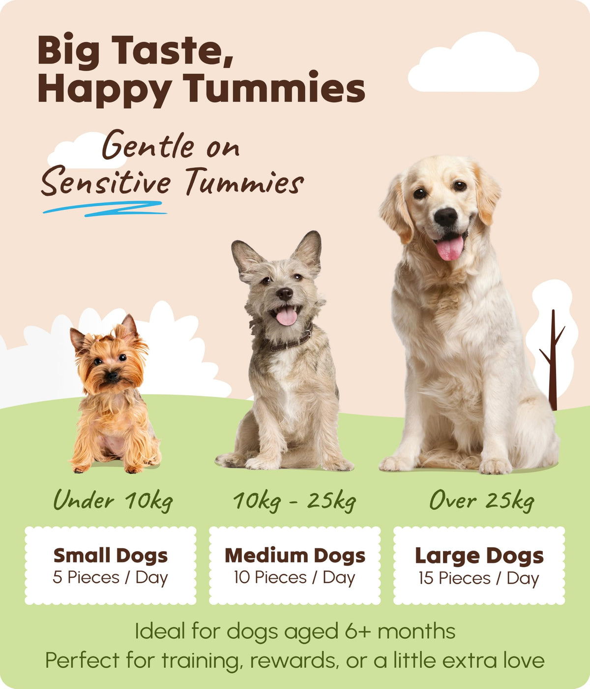 Soopa Strawberry Dog-Quiri Healthy Bites, Dog Training Treats, 50 g, 1-Pack