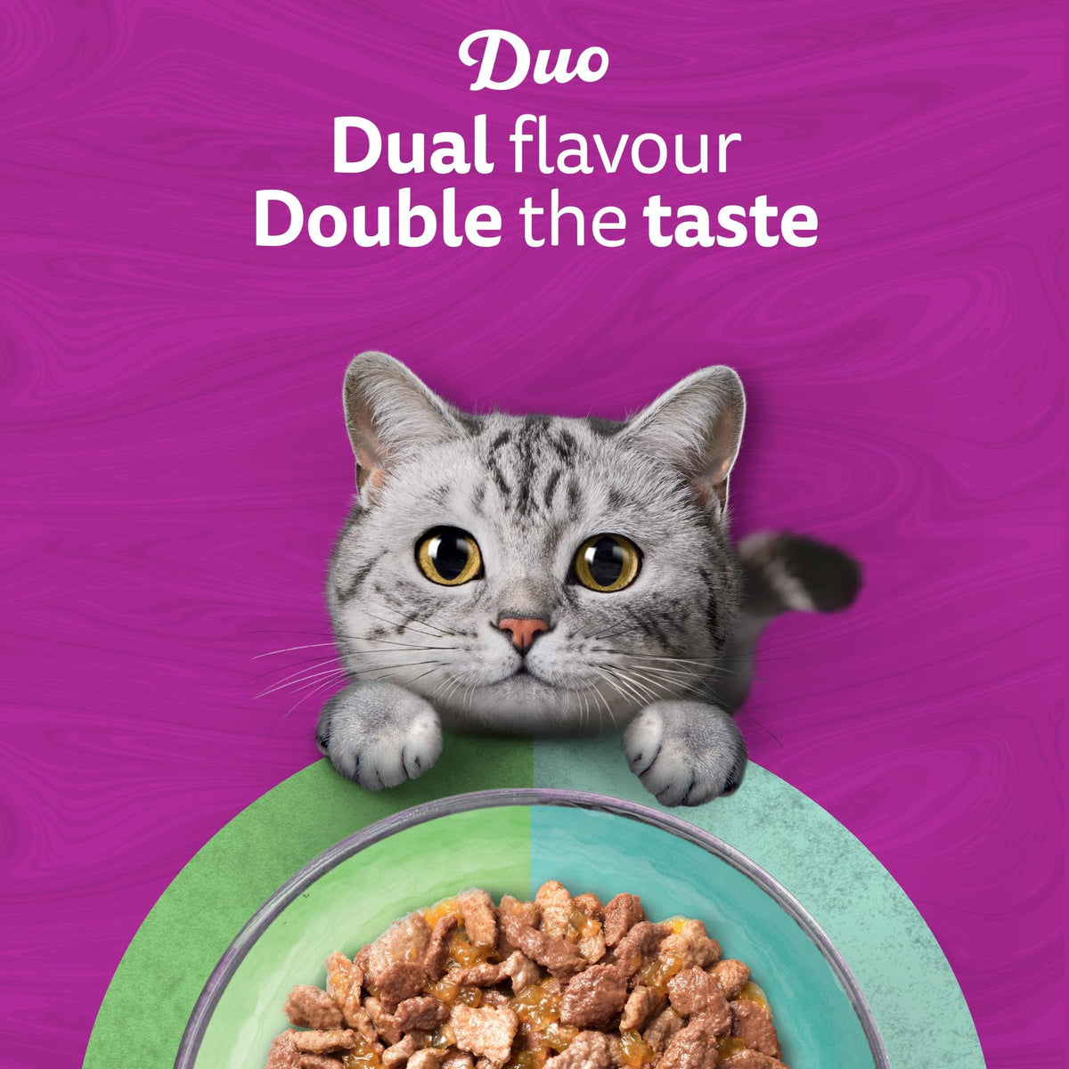 WHISKAS DUO Adult Wet Cat Food in Jelly 12x85g Surf & Turf (Pack of 4)