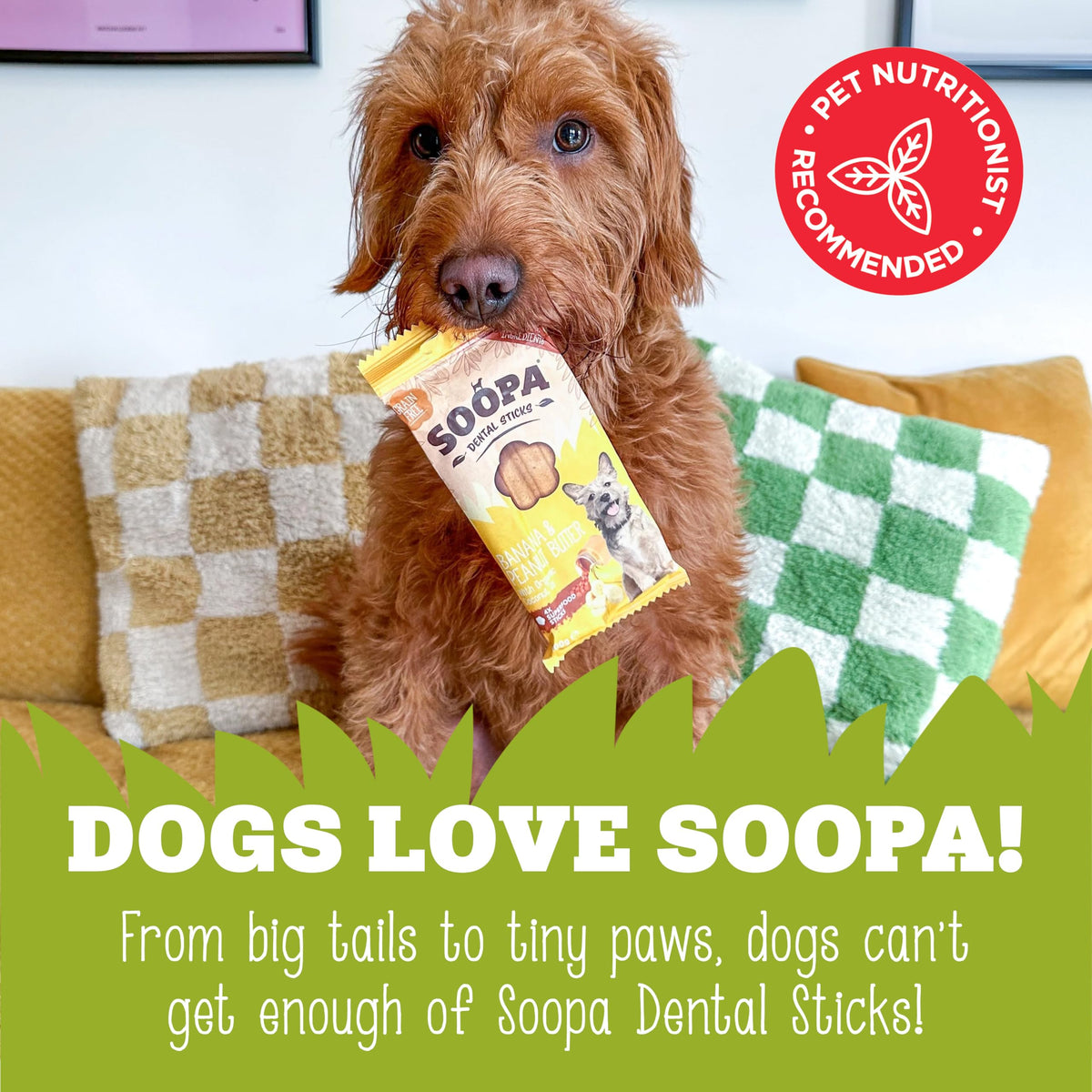 Soopa Carrot & Pumpkin Dog Dental Sticks, Chews to Clean Teeth, 100 g, 1-Pk