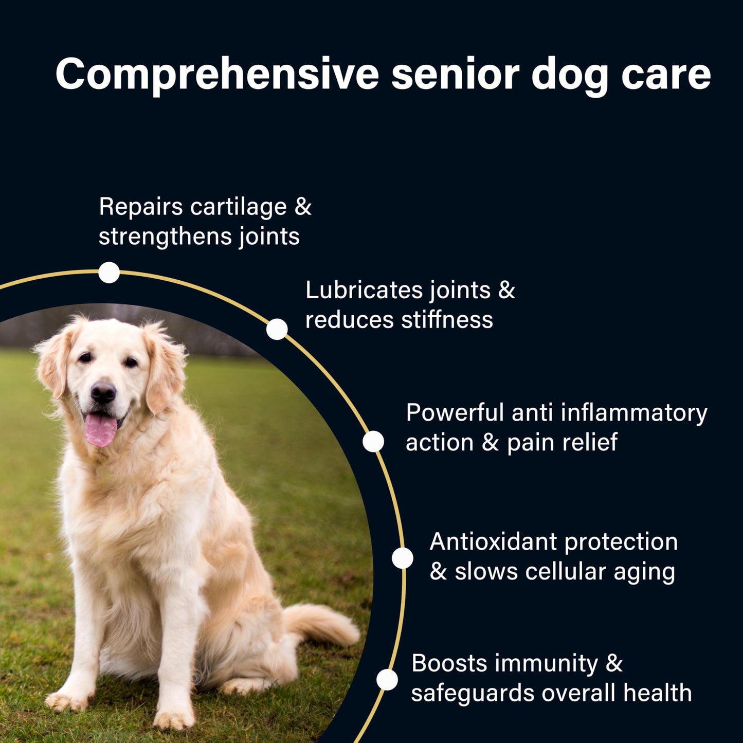 Joint Supplements for Senior Dogs, 120 Tablets with Glucosamine, Green Mussel & Vitamin C, Senior Dog Joint Supplements - Relieve Stiff Joints & Support Mobility for Your Dog