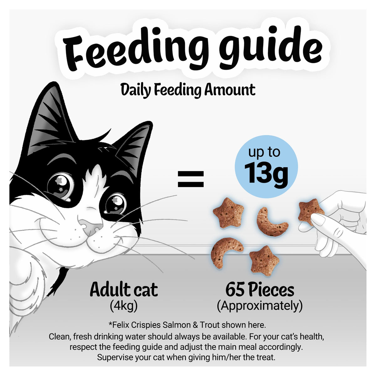 FELIX Tasty Shreds Adult Wet Cat Food Mixed Selection in Gravy Chicken, Beef, Tuna, Salmon 40 x 80g Pouches