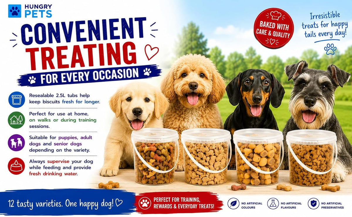 Dog Biscuit Treats 2.5L (Peanut Butter Bones)