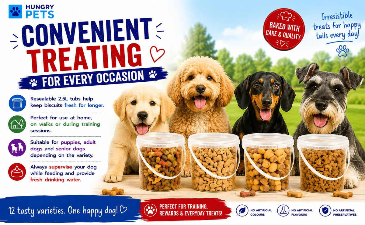 Dog Biscuit Treats 2.5L (Peanut Butter Bones)