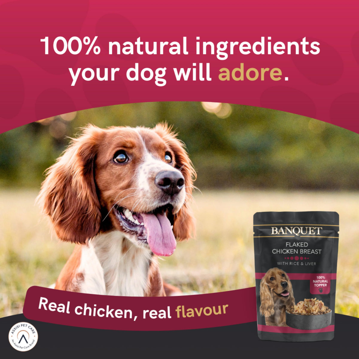 HiLife Banquet Adult Wet Dog Food, Mixed Multipacks Classic Collection & Supreme Selection, Made with 100% Natural Ingredients (36 Pouches x 100g)