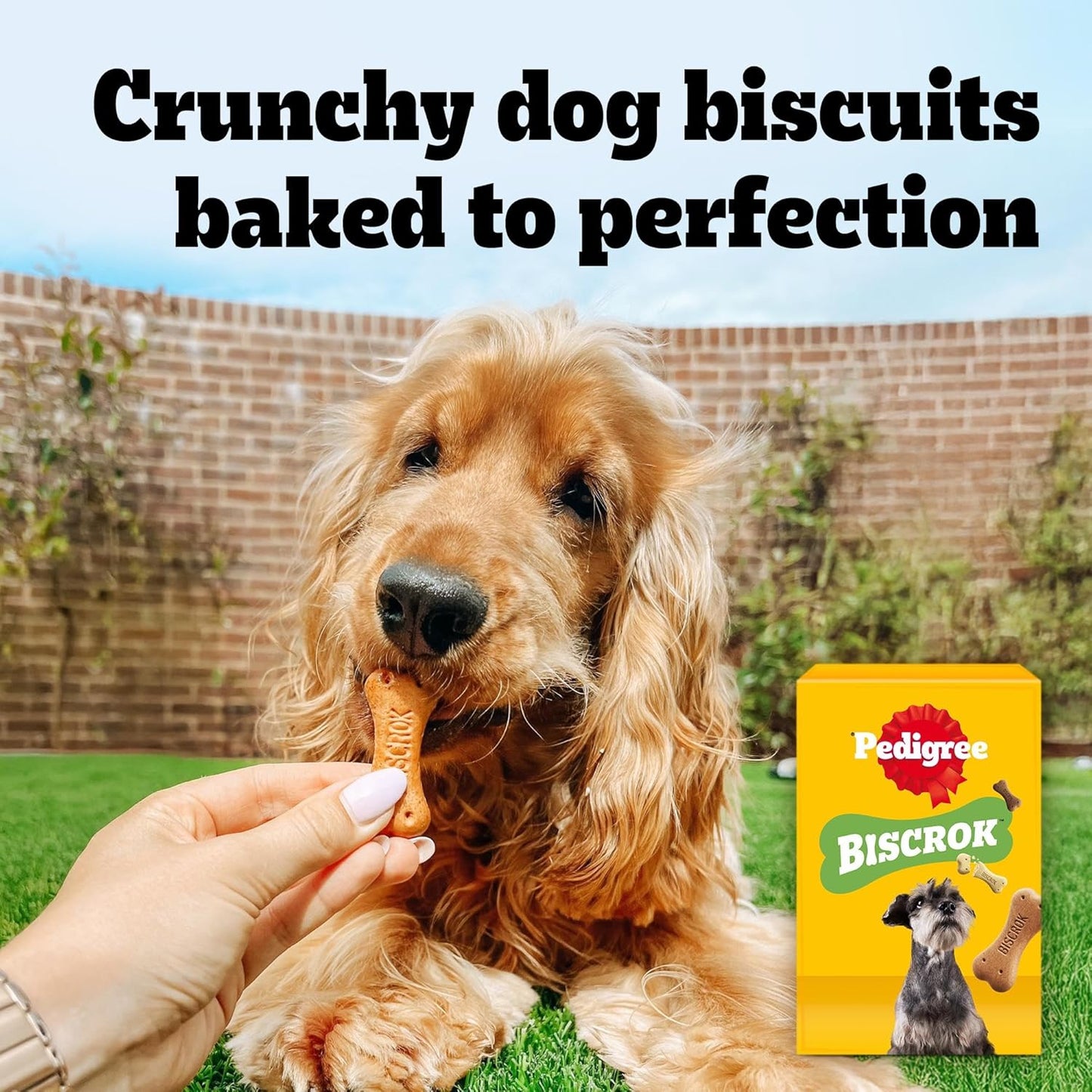 Pedigree BISCROK Adult Dog Treats Multi Mix Biscuits 12 x 500g
