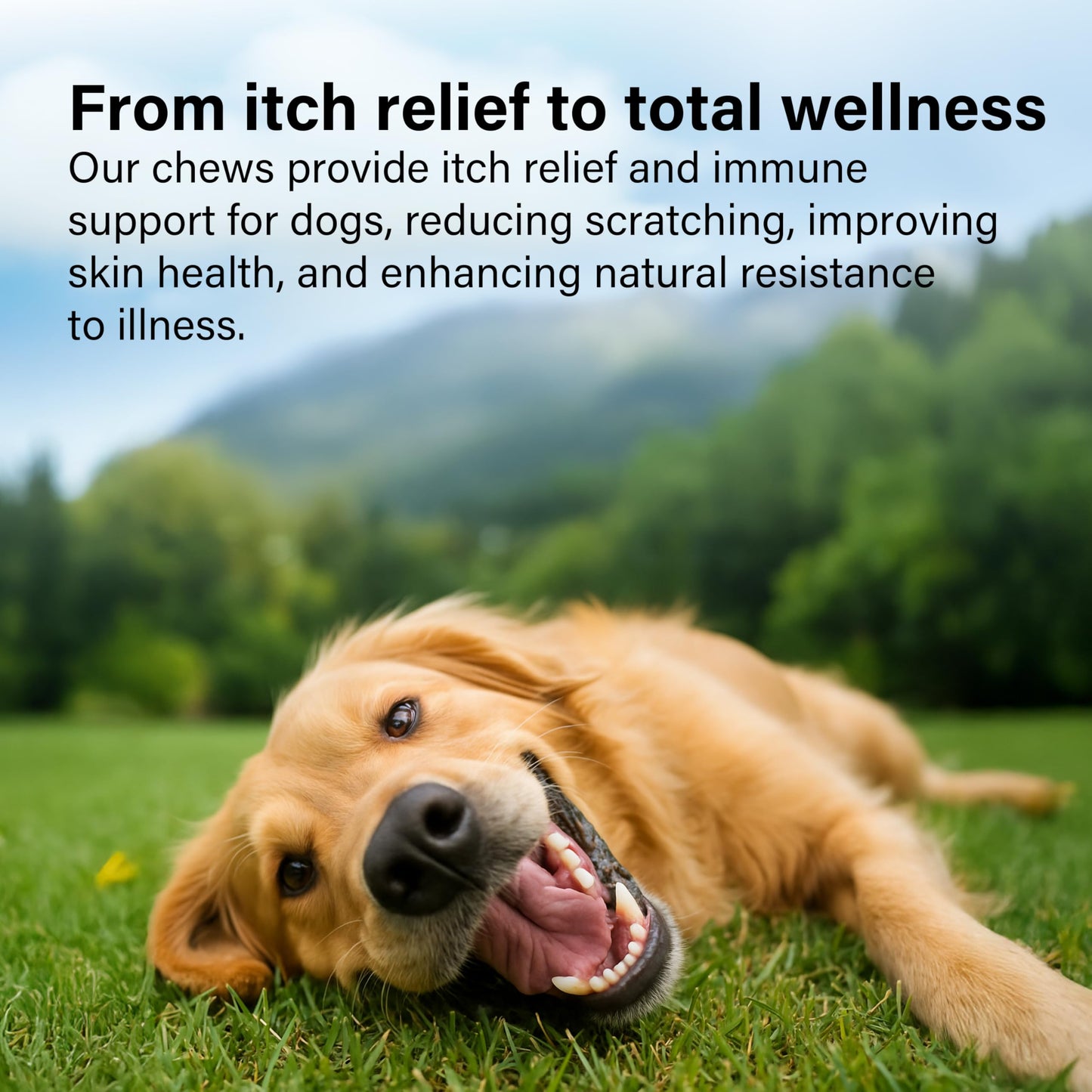 Joint Supplements for Senior Dogs, 120 Tablets with Glucosamine, Green Mussel & Vitamin C, Senior Dog Joint Supplements - Relieve Stiff Joints & Support Mobility for Your Dog