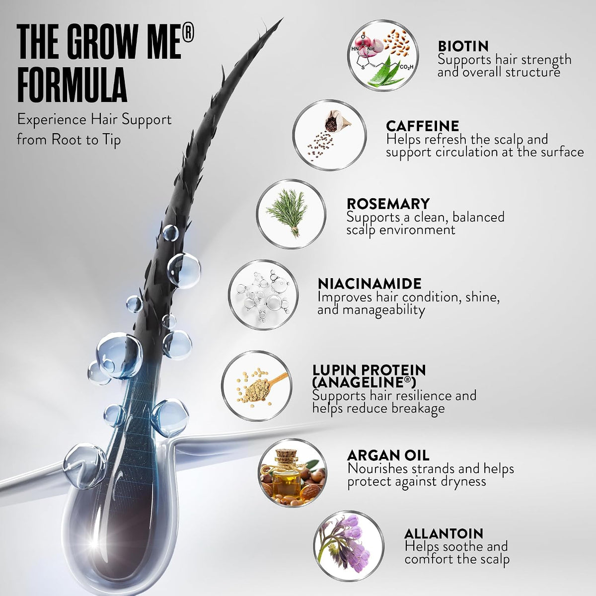 Watermans Grow Me® Hair Growth Shampoo - Not just a Caffeine Shampoo we include Biotin, Argan Oil, Rosemary, Niacinamide. Hair Thickening Treatment for Women & Men with progressed thinning.