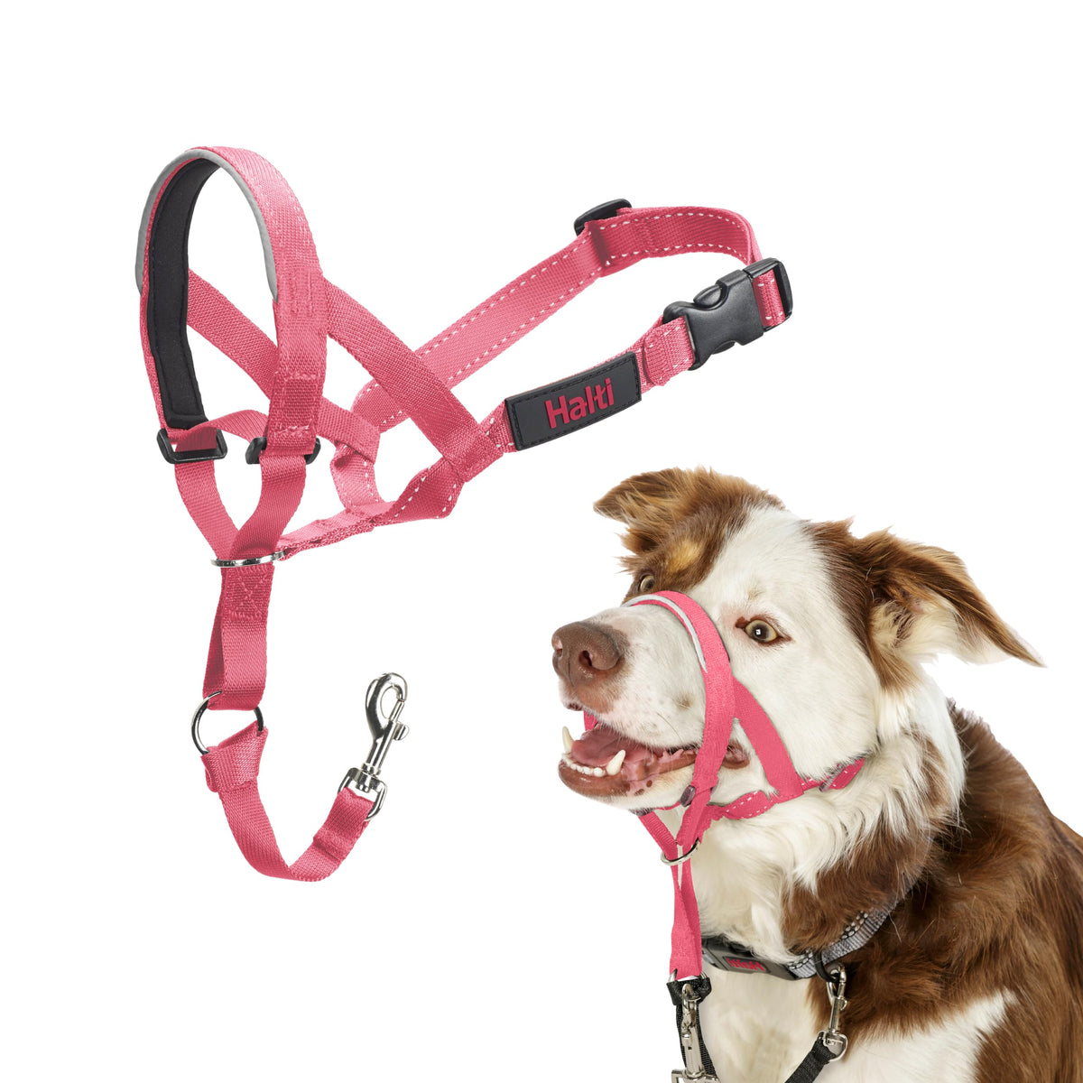 Halti Headcollar for Dogs | Size 3, Black