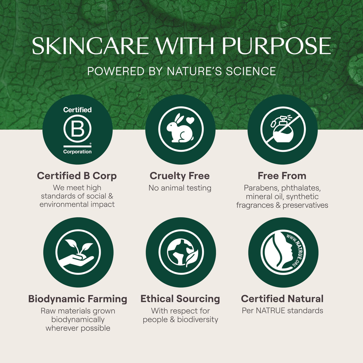 Weleda Skin Food, Dry Skin Moisturiser, Moisturising Cream & Primer, Face & Body, For Men & Women, Multiple Uses, 100% Certified Natural, Organic, 75ml