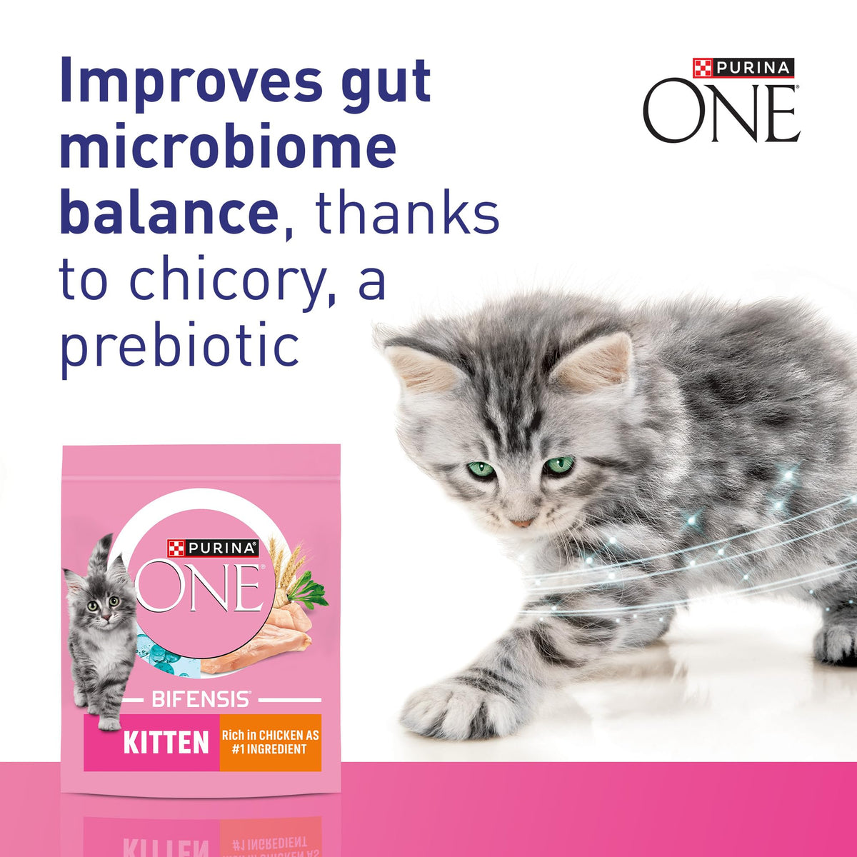 PURINA ONE BIFENSIS Dry Food for Adult Cats, Rich in Chicken, 1 Pack (1 x 5.7 kg)