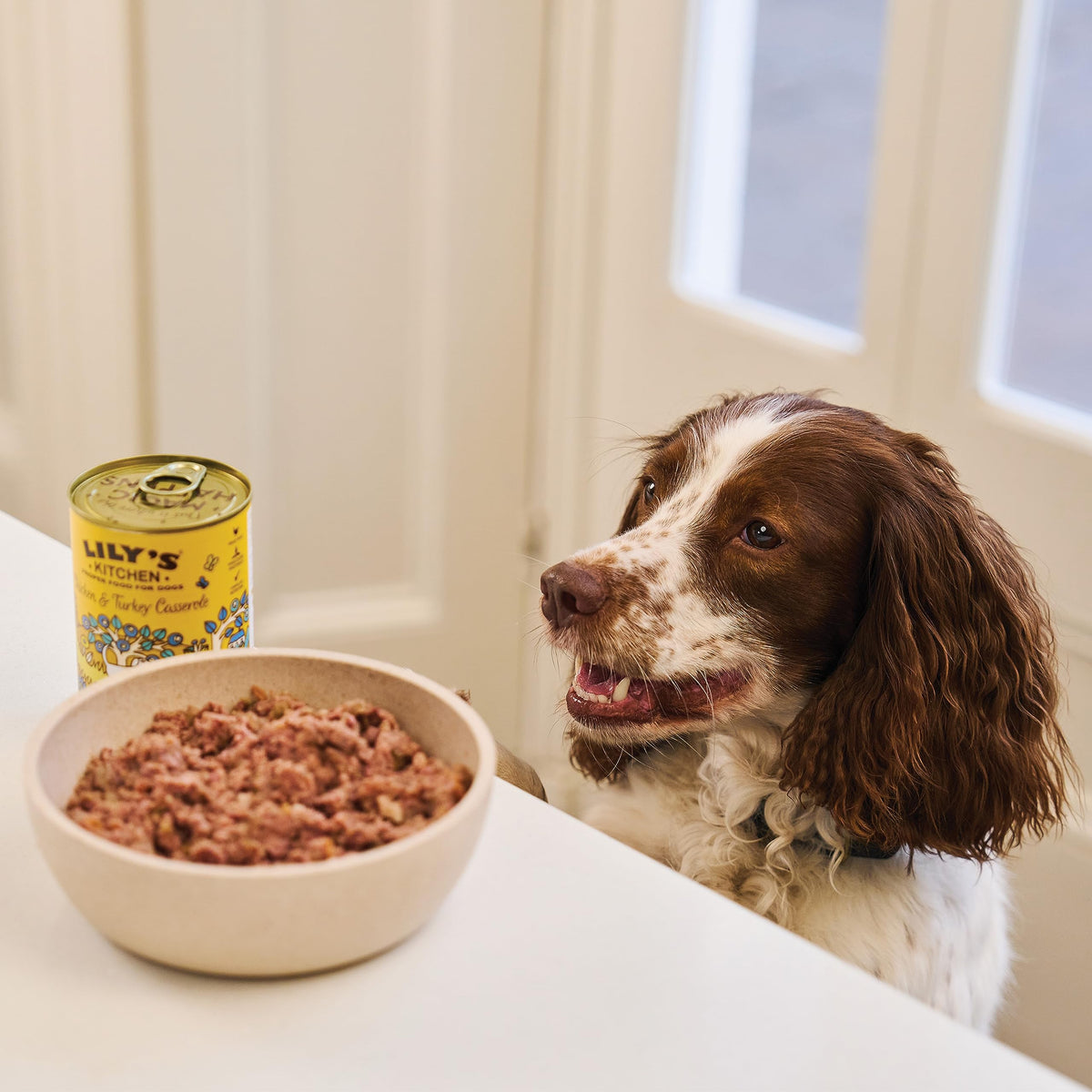Lily's Kitchen Natural Adult Dog Food Wet Trays - Classic Dinners Multipack - Chicken, Lamb & Beef - Complete Meal Recipes (6 Trays x 150g)