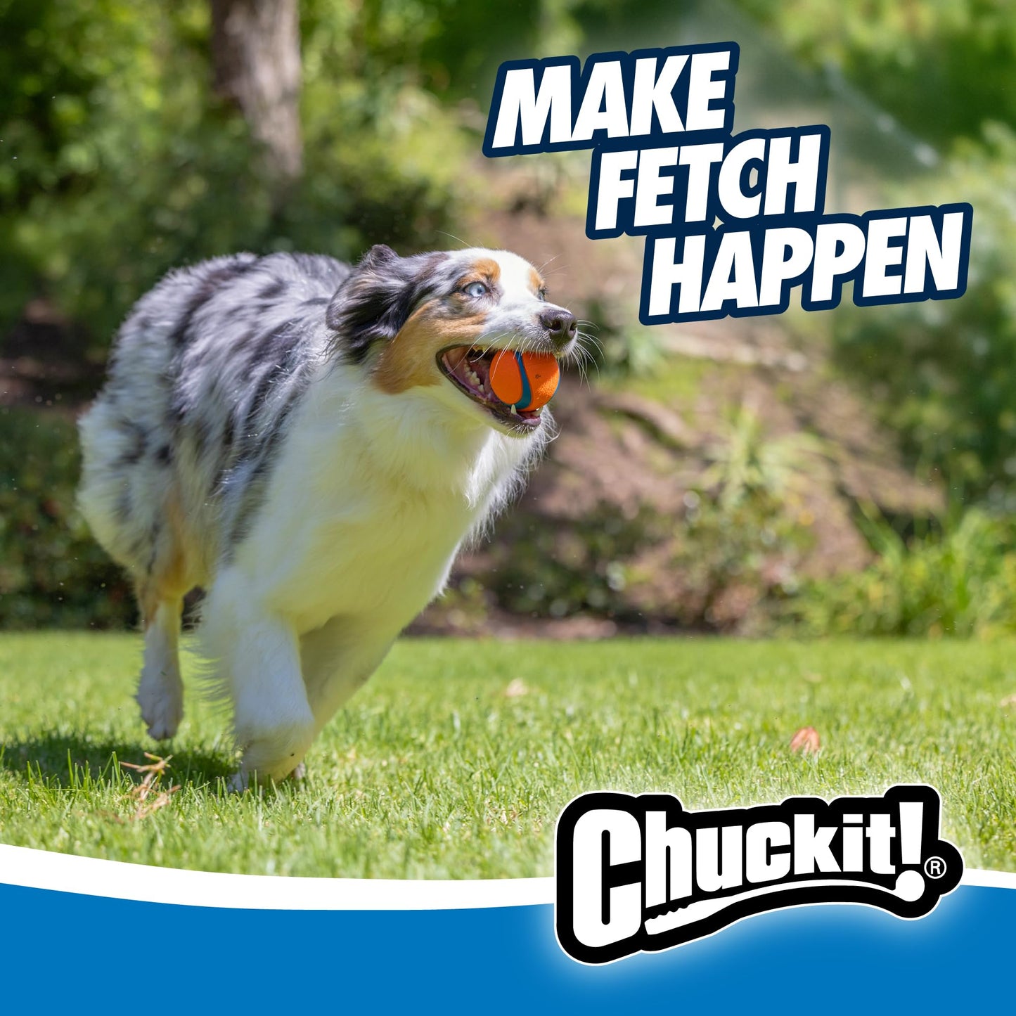 Chuckit! Ultra Ball, Durable High Bounce Rubber Dog Ball, Launcher Compatible, 2 Pack, Medium