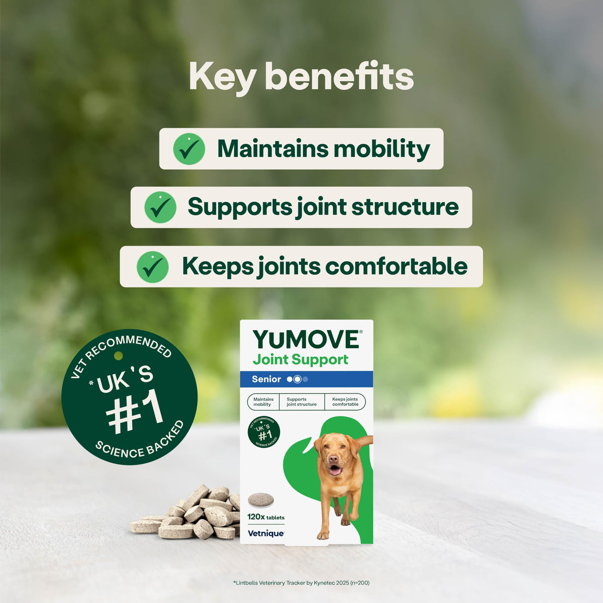 YuMOVE Senior Dog Joint Supplement, High Strength for Joint Care, Essential Dog Hip and Joint Support for Senior Dogs Aged 8+, 120 Tablets - Eco Friendly and Letter Box Ready Packaging
