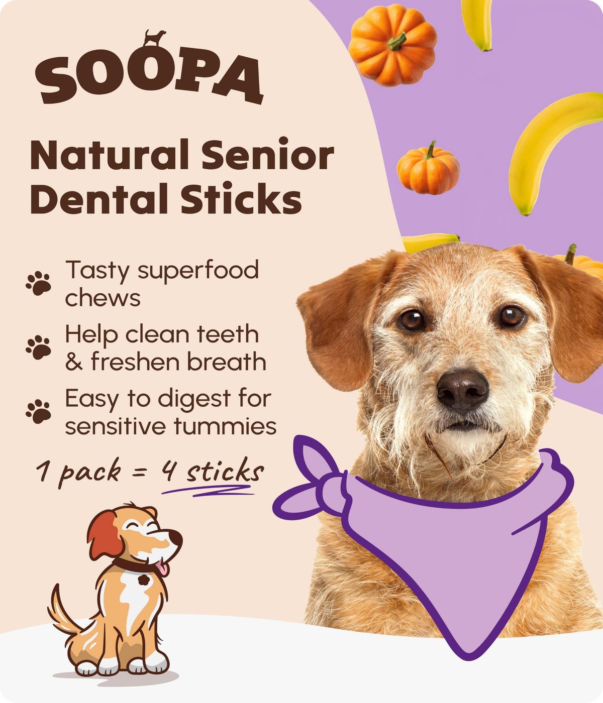 Soopa Carrot & Pumpkin Dog Dental Sticks, Chews to Clean Teeth, 100 g, 1-Pk