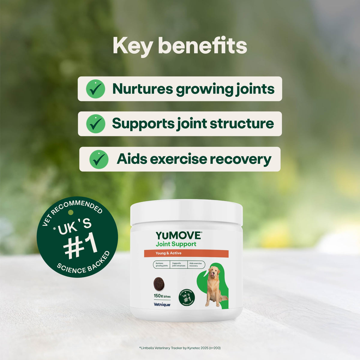 YuMOVE Young and Active Dog | Joint Supplement for Dogs to Support Active and Growing Joints Aged Under 6 | 60 Tablets Clear